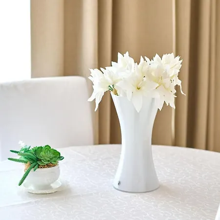 Caelia Dana * Mamaja